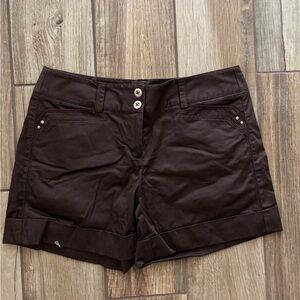 White House Black Market Dark Brown Cuffed Women's Shorts